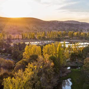 Tumut the Perfect Town!